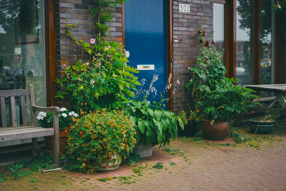 Vertical Garden Oasis