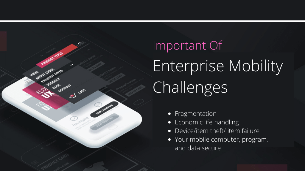 Prime Enterprise Mobility Challenges in 2024